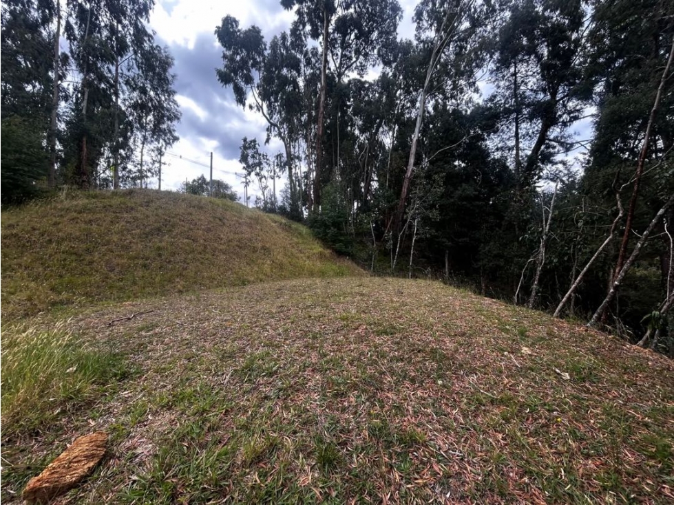 Venta lote Envigado Alto de Palmas - 3