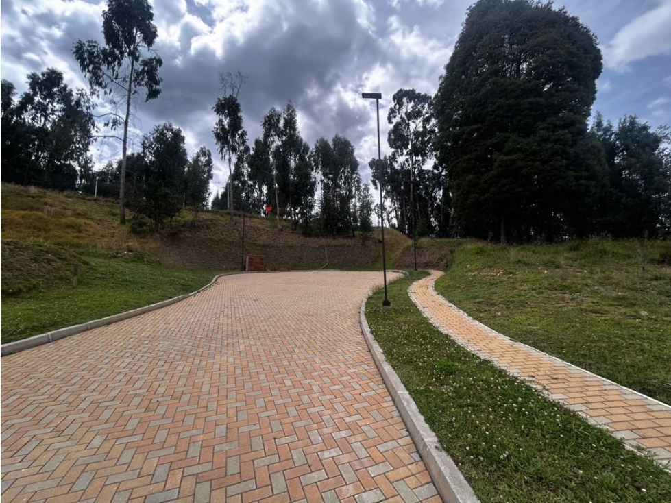Venta lote Envigado Alto de Palmas - 5