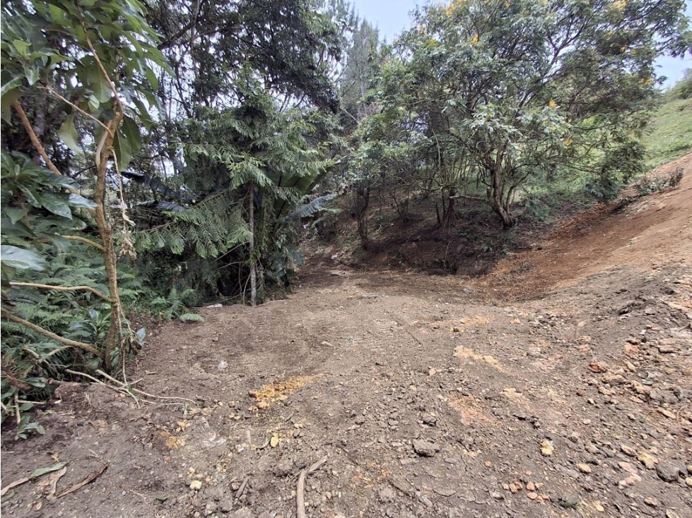 Venta lote Alto de Palmas - 3