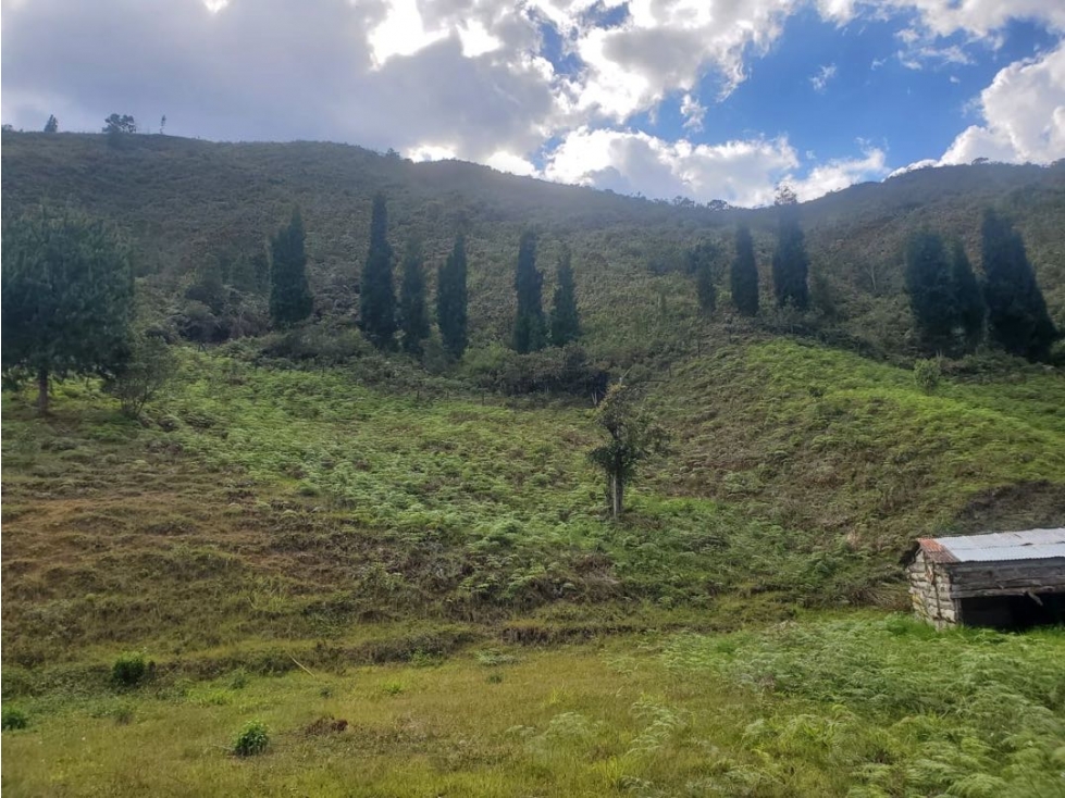 Venta lote en Guarne — foto 3