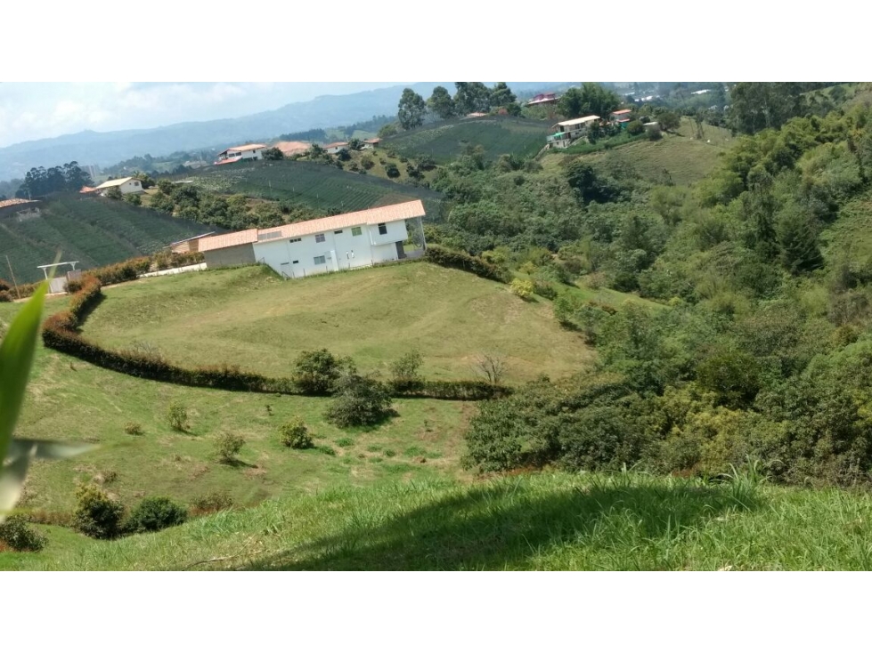 LOTE VENTA / MARINILLA (SZ10) - 2