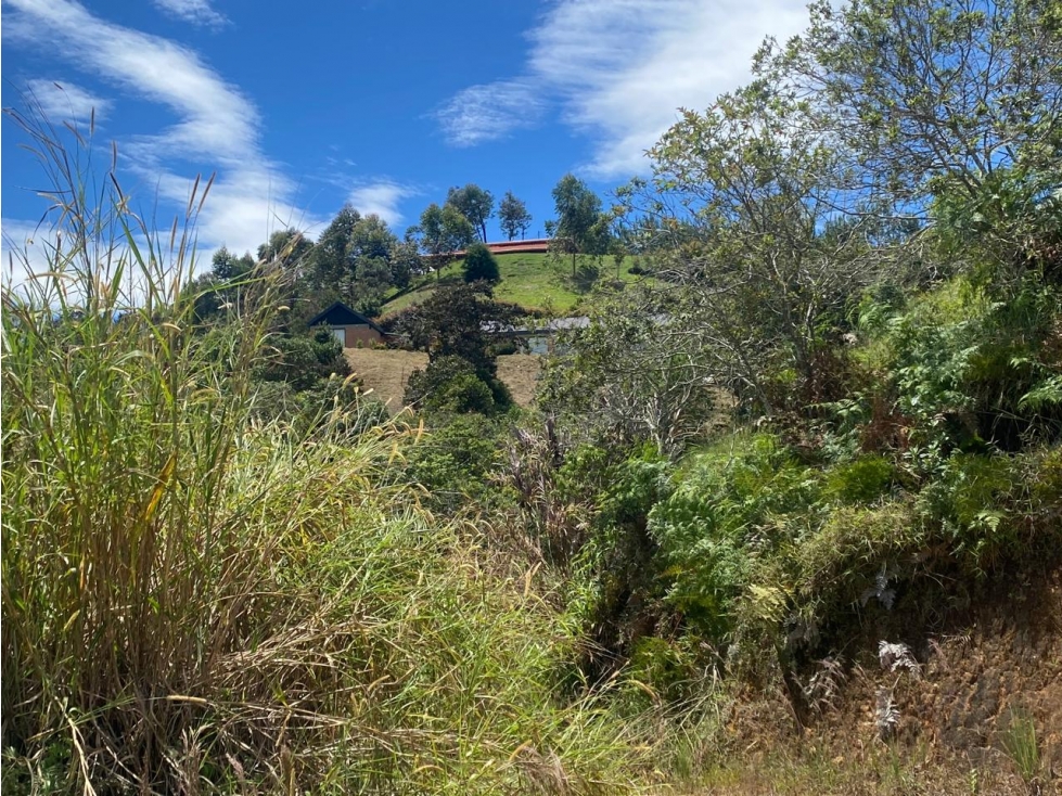 LOTE VENTA / SAN VICENTE (SZ44) - 6