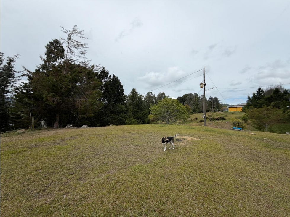LOTE EN VENTA / ENVIGADO ALTO DE LAS PALMAS - 2