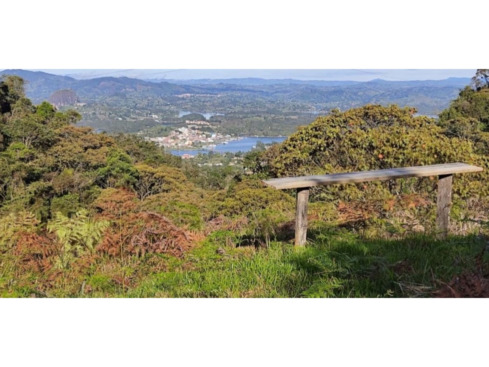 VENTA FINCA EN GUATAPE CON NORMA PARA PARCELAR - 2