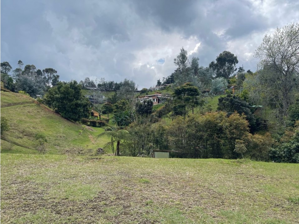 VENTA LOTE VÍA QUIRAMA LA CEJA - 1