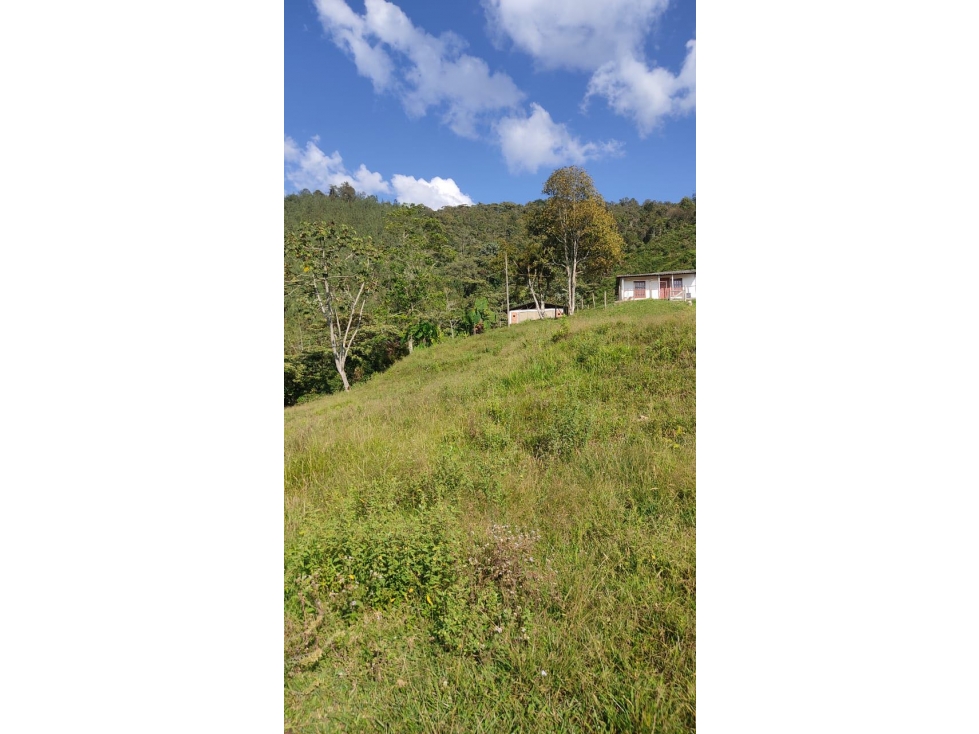 VENTA LOTE EN CALDAS SECTOR LA SALADA PARTE ALTA - 1