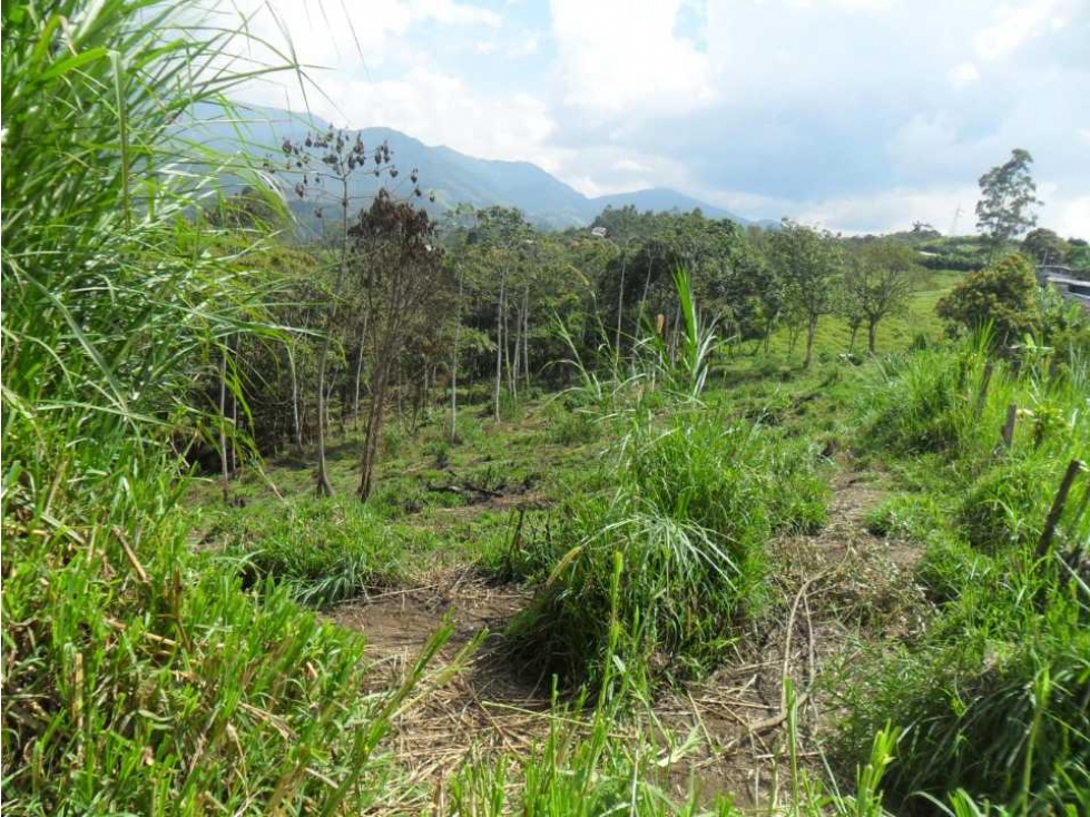 VENTA LOTE USO INDUSTRIAL VIA CALDAS AMAGA - 1