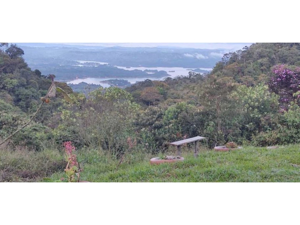 VENTA FINCA EN GUATAPE CON NORMA PARA PARCELAR - 5