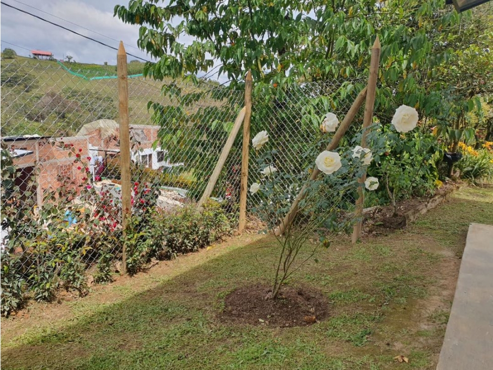 VENTA FINCA EN RIONEGRO VEREDA EL CARMIN — foto 4