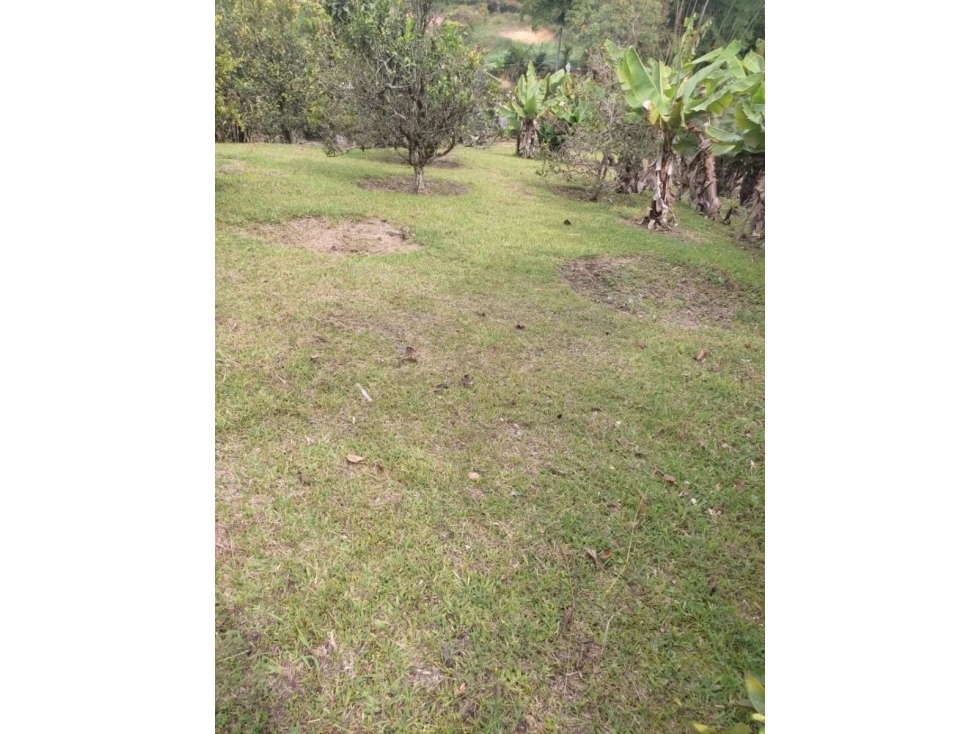 VENTA FINCA MARINILLA VÍA A GUATAPÉ - 4