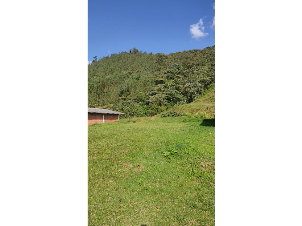 VENTA LOTE EN CALDAS SECTOR LA SALADA PARTE ALTA - 4