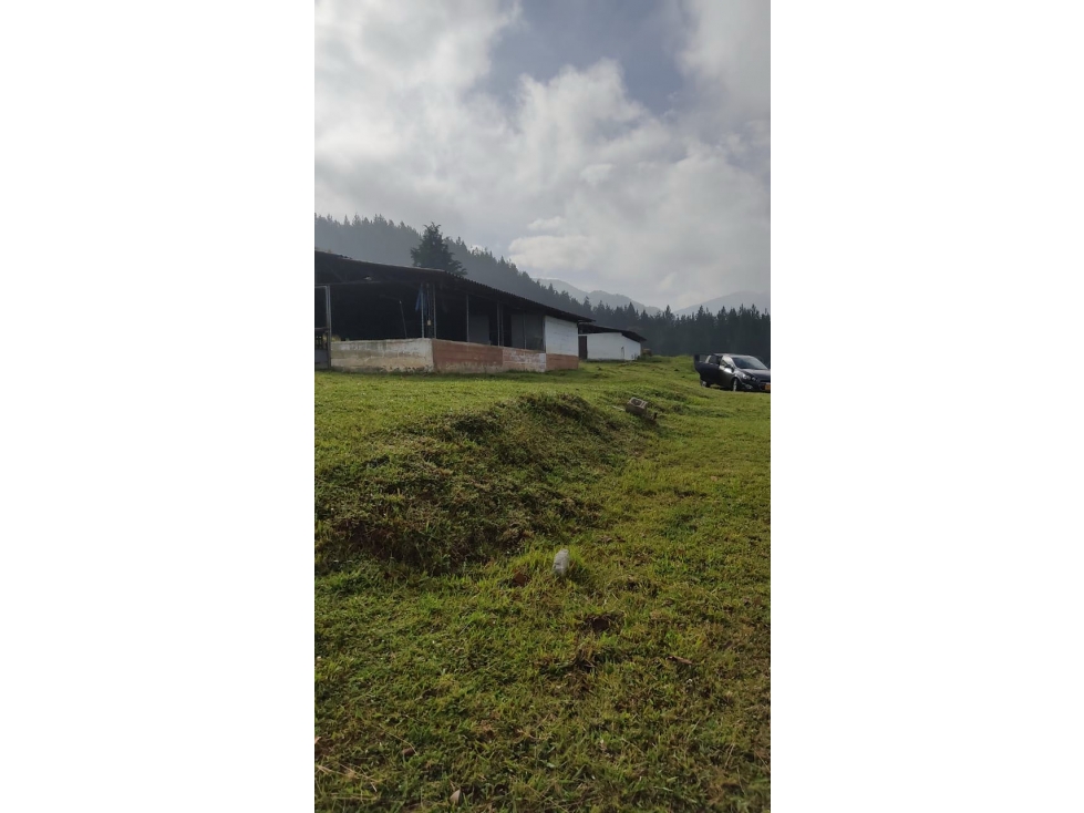 VENTA LOTE EN CALDAS SECTOR LA SALADA PARTE ALTA - 5
