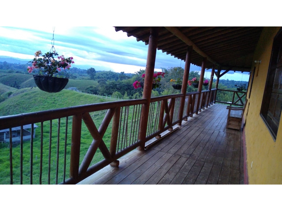 VENTA FINCA VÍA CIRCASIA -MONTENEGRO QUINDIO - 3