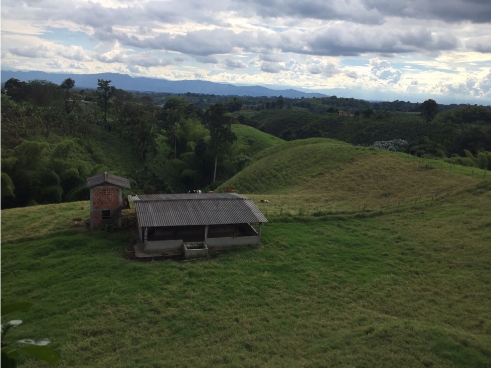 VENTA FINCA VÍA CIRCASIA -MONTENEGRO QUINDIO - 5