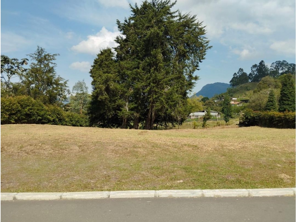 VENTA LOTE EN LA CEJA SECTOR EL TAMBO - 6