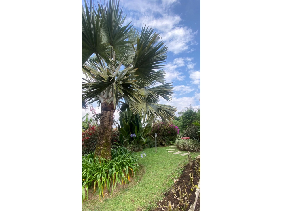 VENTA CASA LOMA EL ESCOBERO ENVIGADO — foto 6