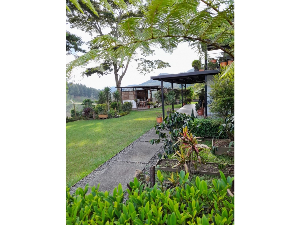 VENTA FINCA EN EL PEÑOL VEREDA LA CRISTALINA - 2