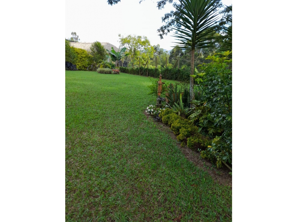 VENTA FINCA EN EL PEÑOL VEREDA LA CRISTALINA - 6