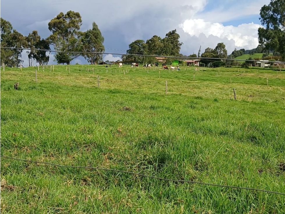 VENTA LOTE EN SAN PEDRO DELOS MILAGROS — foto 2