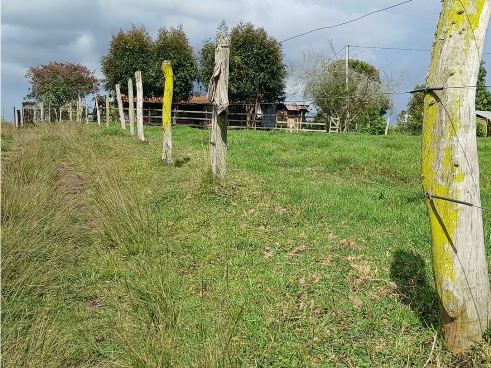 VENTA LOTE EN SAN PEDRO DELOS MILAGROS — foto 3
