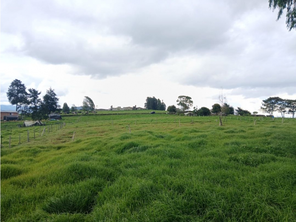 VENTA LOTE EN SAN PEDRO DELOS MILAGROS — foto 4