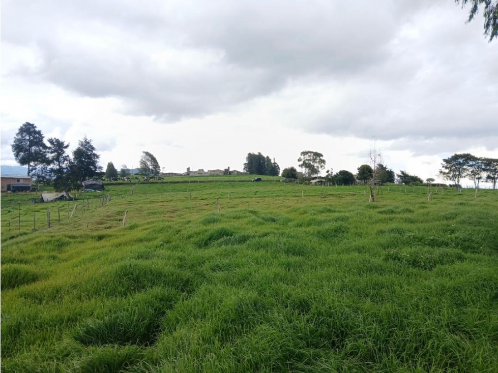 VENTA LOTE EN SAN PEDRO DELOS MILAGROS — foto 5