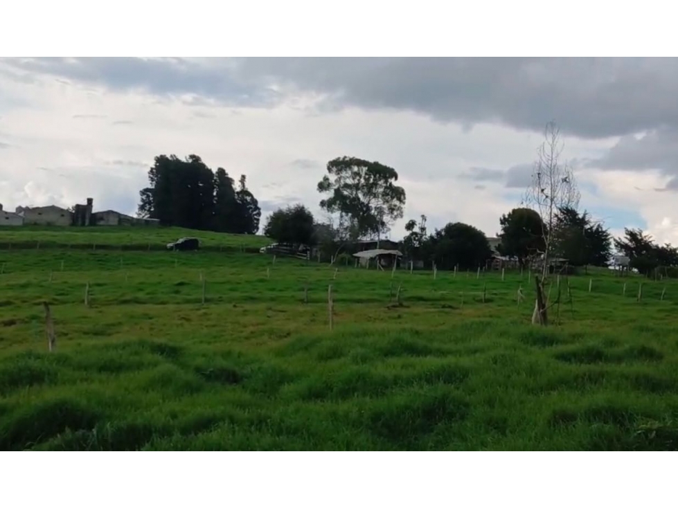 VENTA LOTE EN SAN PEDRO DELOS MILAGROS — foto 6