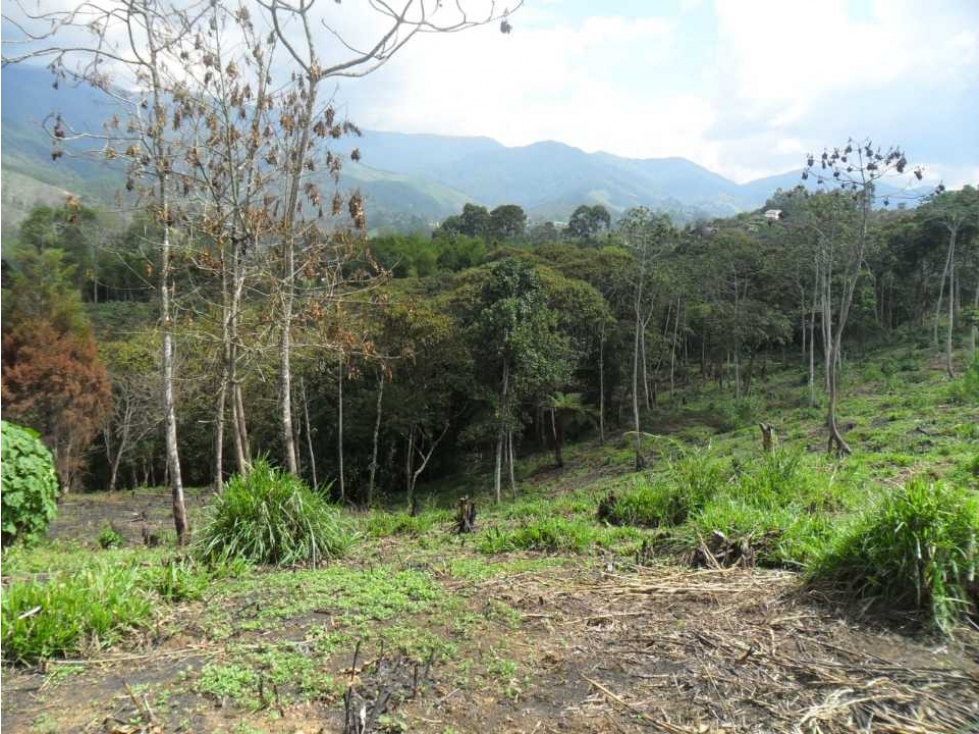 VENTA LOTE USO INDUSTRIAL VIA CALDAS AMAGA - 5