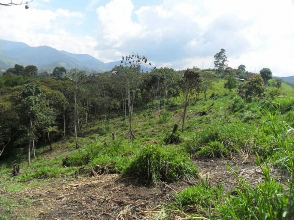 VENTA LOTE USO INDUSTRIAL VIA CALDAS AMAGA - 2