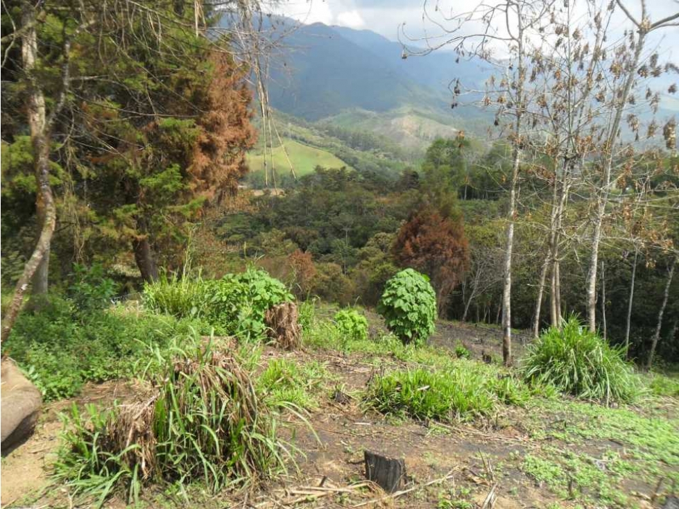VENTA LOTE USO INDUSTRIAL VIA CALDAS AMAGA - 3