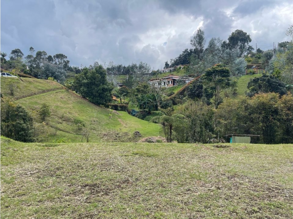 VENTA LOTE VÍA QUIRAMA LA CEJA - 2