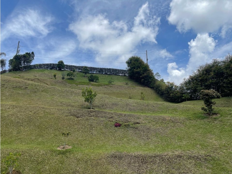 VENTA LOTE VÍA QUIRAMA LA CEJA - 3
