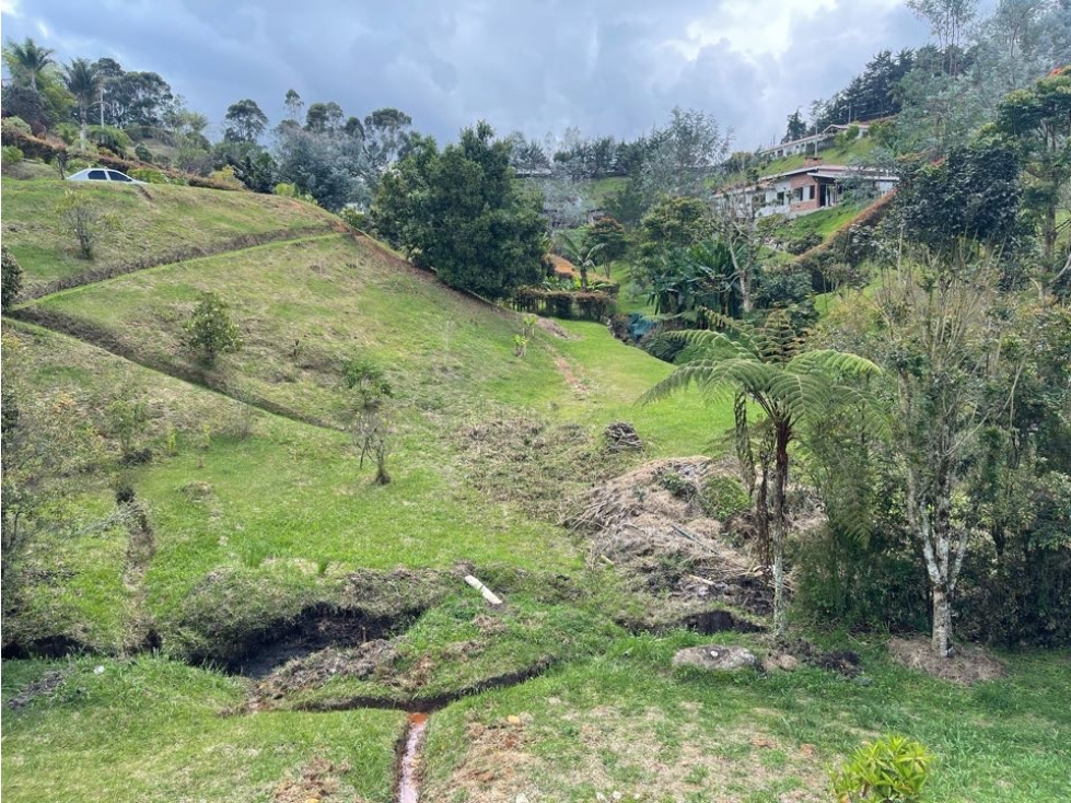 VENTA LOTE VÍA QUIRAMA LA CEJA - 5