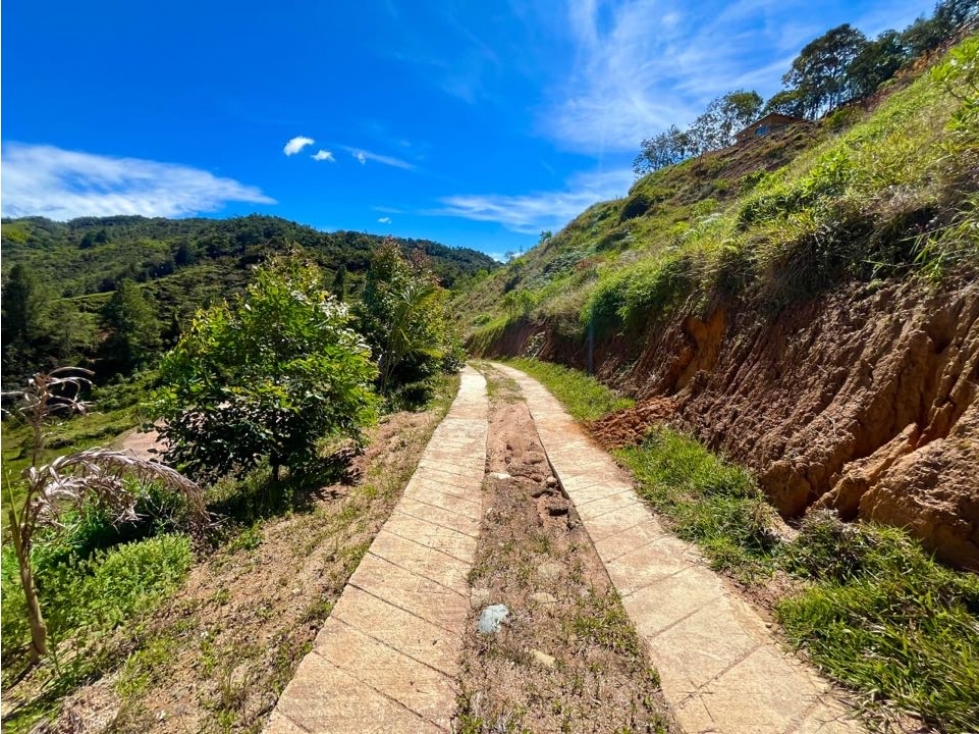 VENTA FINCA EN GRANADA EN LIMITE CON GUATAPÉ - 6