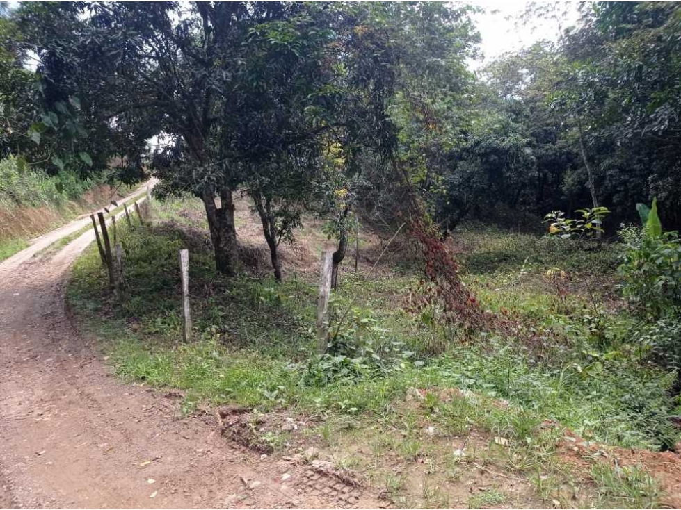VENCAMBIO LOTE EN SAN JERÓNIMO VEREDA QUIMBAYO - 2