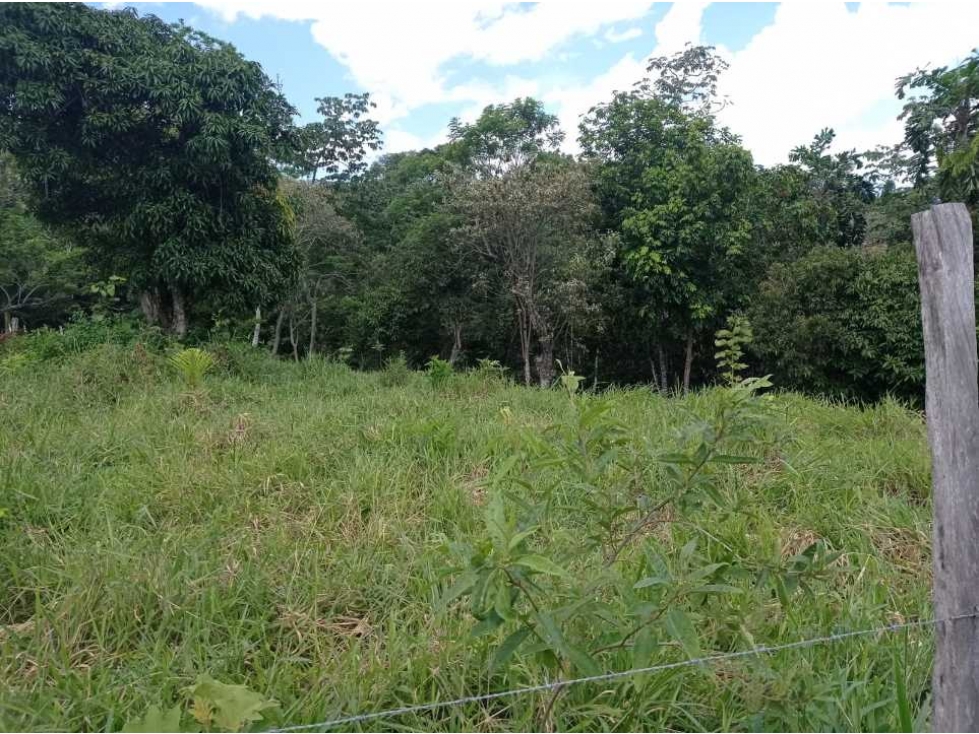 VENCAMBIO LOTE EN SAN JERÓNIMO VEREDA QUIMBAYO - 3