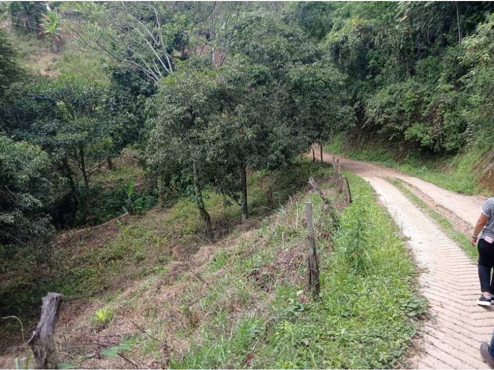 VENCAMBIO LOTE EN SAN JERÓNIMO VEREDA QUIMBAYO - 4