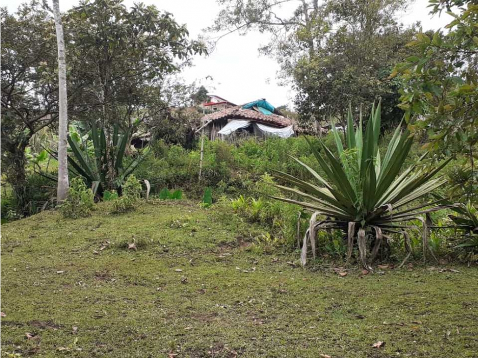 VENTA LOTES EN JARDIN VEREDA LA LINDA - 1