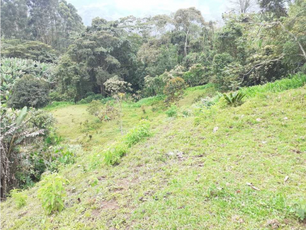VENTA LOTES EN JARDIN VEREDA LA LINDA - 3