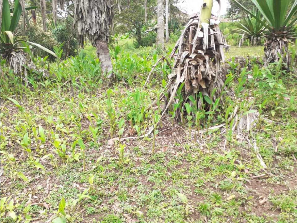 VENTA LOTES EN JARDIN VEREDA LA LINDA - 2