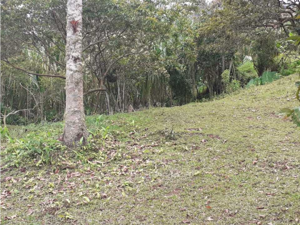 VENTA LOTES EN JARDIN VEREDA LA LINDA - 5