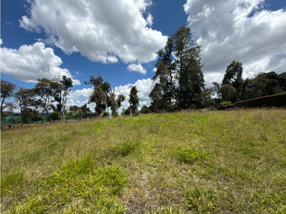 Venta de lote en Envigado,alto de las palmas — foto 5