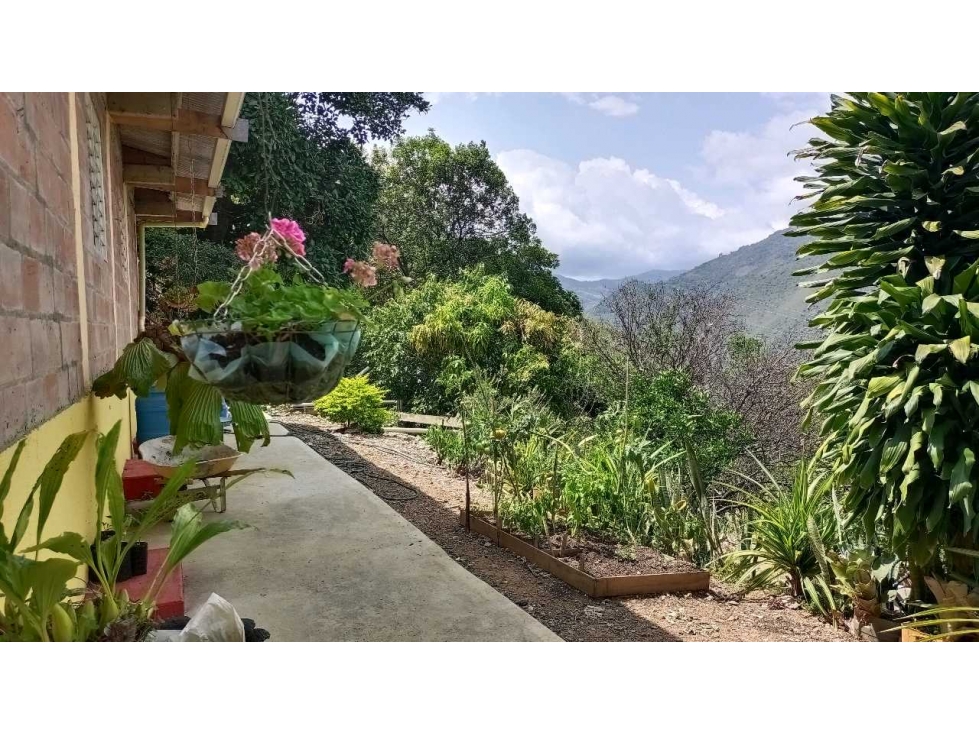 VENDO CASA FINCA EL SALADITO KM 12 LJ 8963509 - 4
