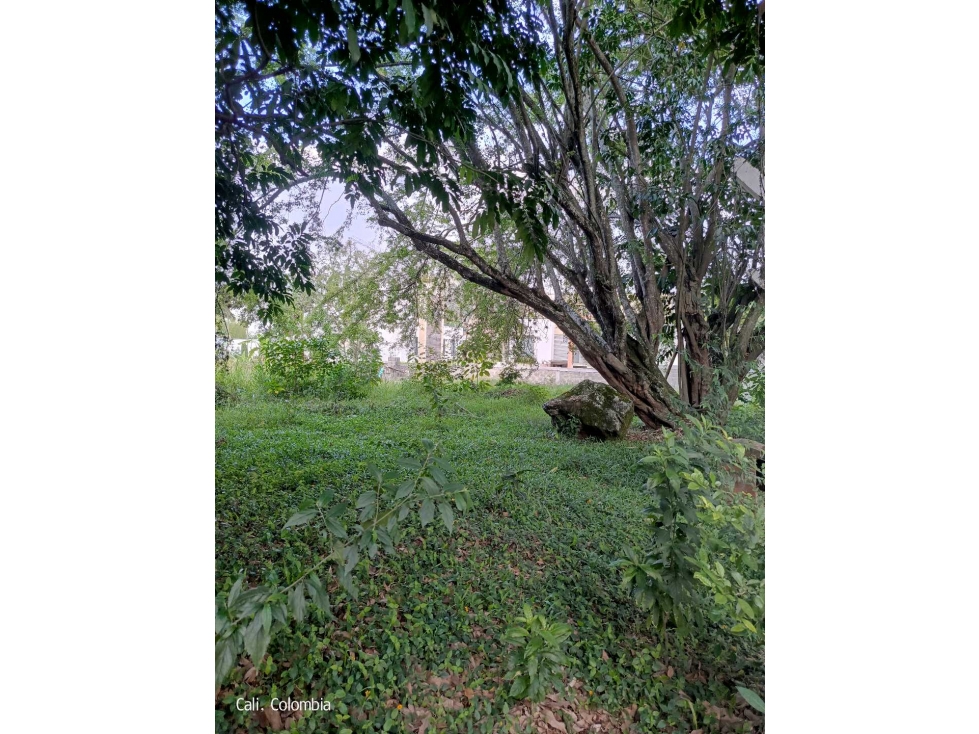 VENDO LOTE EN PANCE LJ 8963516 — foto 5