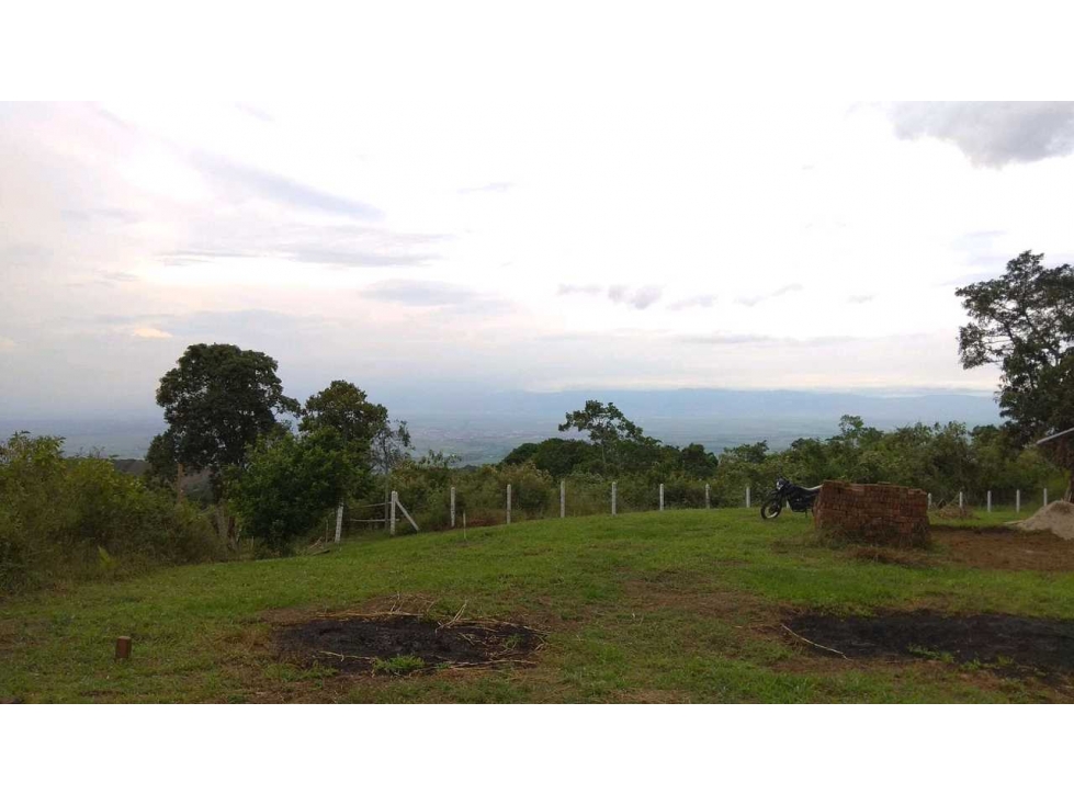 VENDO LOTE CAMPESTRE LA QUISQUINA PALMIRA LJ