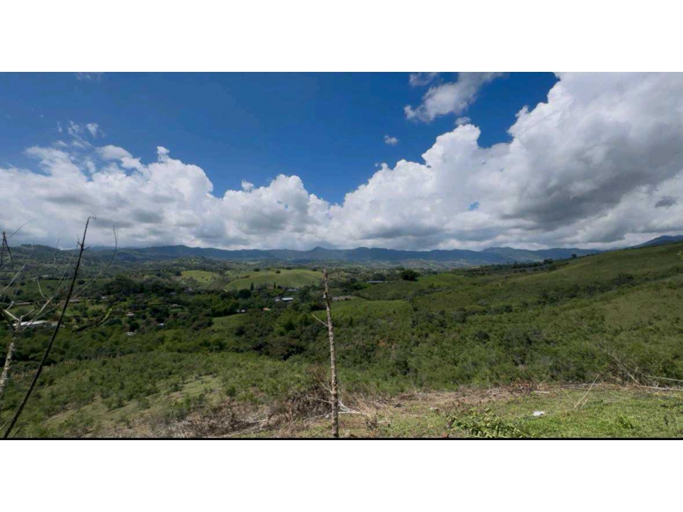 Lotes km 34 vía a El Queremal VZ - 5