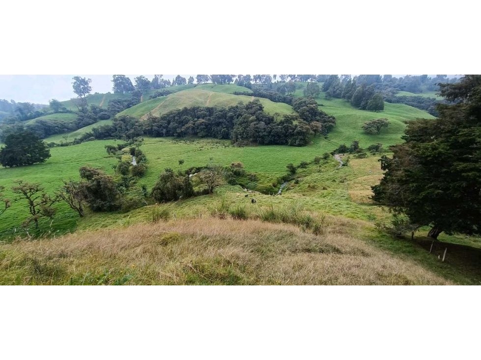 Venta Lote Suburbano. en San Félix vía San Pedro. Antioquia. - 6