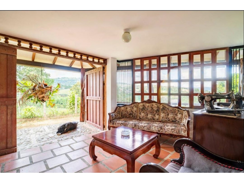 Vendo finca Puente Palo con dos viviendas y acceso pavimentado VZ - 6