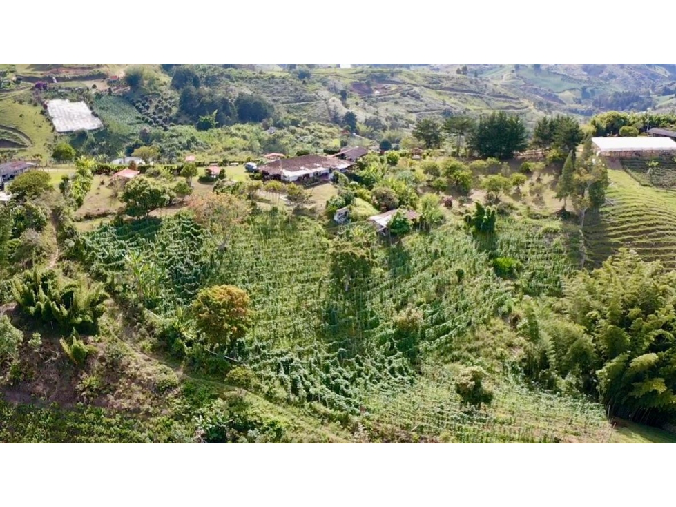 Vendo finca en Marinilla Antioquia
