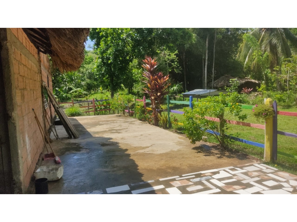 Finca ganadera y agrícola - Tierra Alta - 1